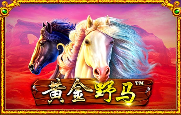 3号娱乐彩票登录注册入口